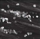Micro-serration for geosynthetics Detailed view of micro-serration in geosynthetics