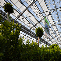 Gable shades in use with UmbraTex Air for flexible lighting control