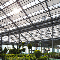 Effective sun protection for plants in the greenhouse