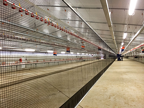 A roller screen used as a partition in a poultry hous