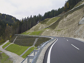 Slope stabilization with Fortrac Nature along a road