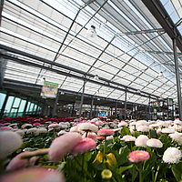 Close-up of UV-resistant UmbraTex Air shading fabric