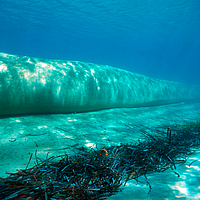 Lateral underwater view of a SoilTain Tube