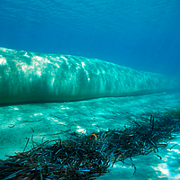 Seitliche Unterwasseraufnahme eines SoilTain Tubes