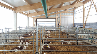 Healthy calf barn realized with the Lubratec concept for healthy calf husbandry