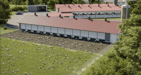 Chicken coop with free range and flock of happy chickens