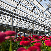 Greenhouse with durable shading fabric