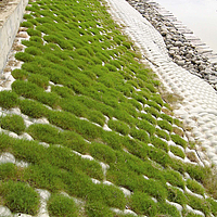 Greened concrete mat on the embankment of a riverbed