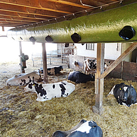 Lubratec Tube Cool mounted on support beams for cooling ventilation of the cow shed