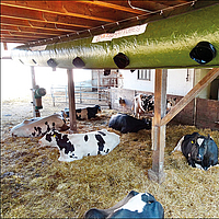Lubratec Tube Cool mounted on support beams for cooling ventilation of the cow shed